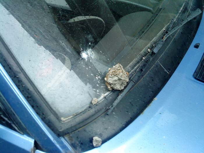 �������� ������� 24.12.2010. � 13 ���� � 46 ������